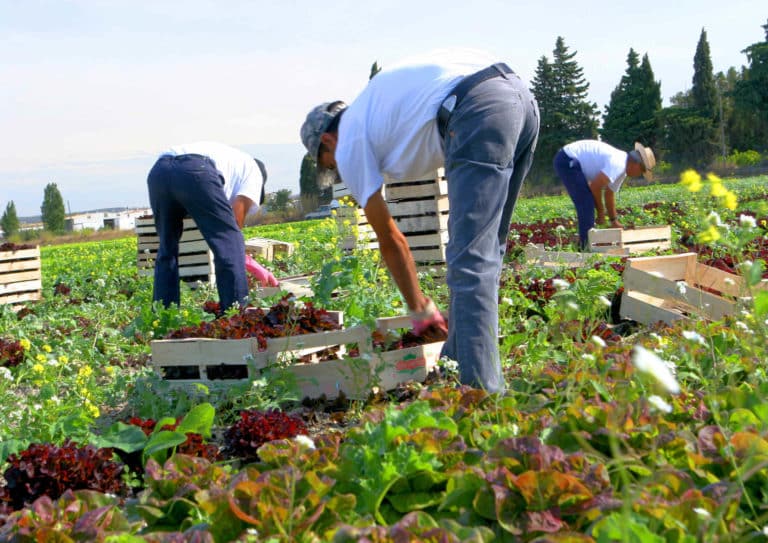 Les principes du régime fiscal du secteur agricole